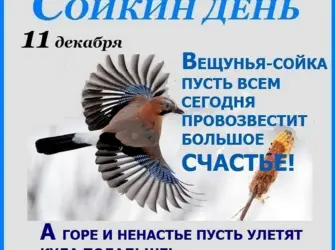 Сойкин день 11 декабря. Открытка, картинка с поздравлением, с праздником