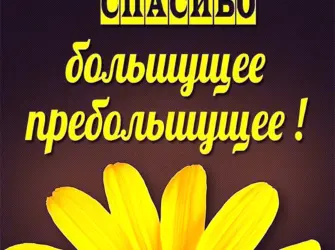Спасибо брат за поздравления. Открытка для детей
