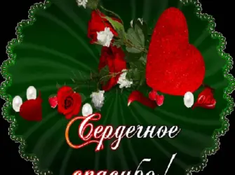 Спасибо запоздравлкния открытка