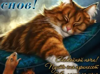 Спокойной ночи открытка