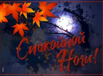 Спокойной ночи осень. Открытка для женщины
