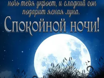 Спокойной ночи приятных снов открытка