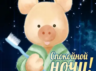 Спокойной ночи прикольные открытка