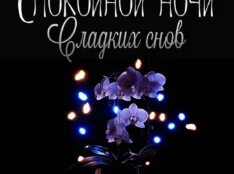 Спокойной ночи сладких снов. Открытка для женщины