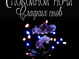 Спокойной ночи сладких снов открытка