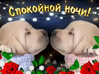Спокойной ночи вторник открытка