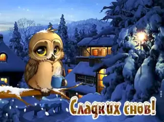 Спокойной зимней ночи открытка