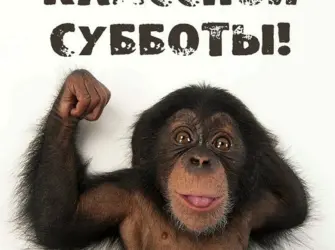 Суббота приколы открытка