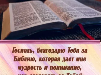 Цитаты из Библии открытка