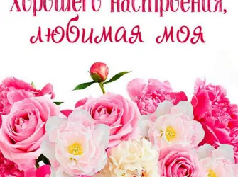 Цветочный фон открытка