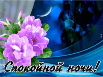 Цветы с пожеланием спокойной ночи. Открытка для женщины