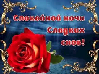 Цветы с пожеланием спокойной ночи открытка