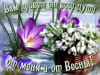 Весенний привет открытки открытка