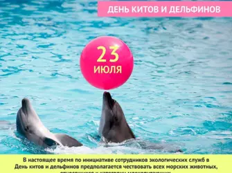 Всемирный день китов и дельфинов. Открытка, картинка с поздравлением, с праздником