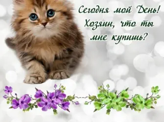 Всемирный день кошек. Открытка, картинка с поздравлением, с праздником