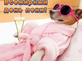 Всемирный день лени. Открытка, картинка с поздравлением, с праздником