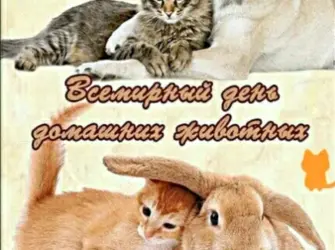 Всемирныйдент домашних животных. Открытка, картинка с поздравлением, с праздником