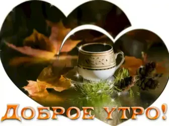 Живые открытки с добрым осеннем утром. Открытка для мужчины