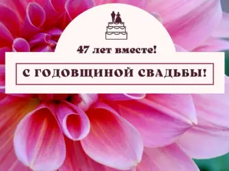 19 Лет совместной жизни поздравления. Свадебная открытка