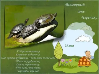 23 Мая день черепахи праздник Всемирный открытка