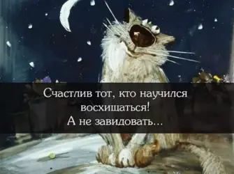 Афоризмы про счастье. Прикольная открытка