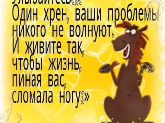 Афоризмы про жизнь с юмором. Открытка с поздравлением