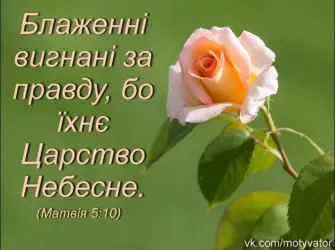 Благословение цветы открытка