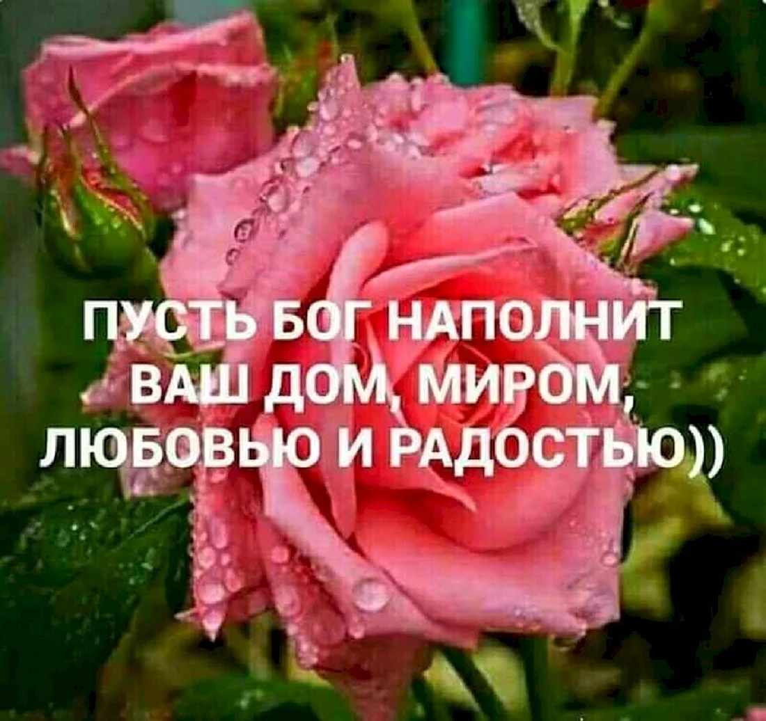 Божьего благословения и мир дому. Открытка с поздравлением