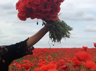 Букет цветов с маками. Открытка с пожеланием