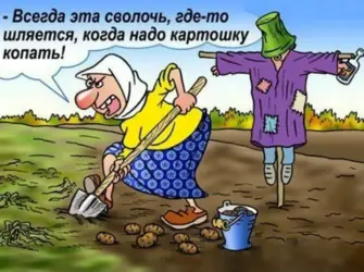 День дачника. Прикольная открытка