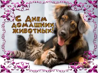 День домашних животных. Открытка с поздравлением