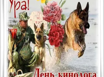 День кинолога. Открытка с поздравлением
