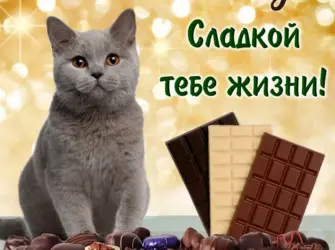 День шоколада. Открытка с поздравлением