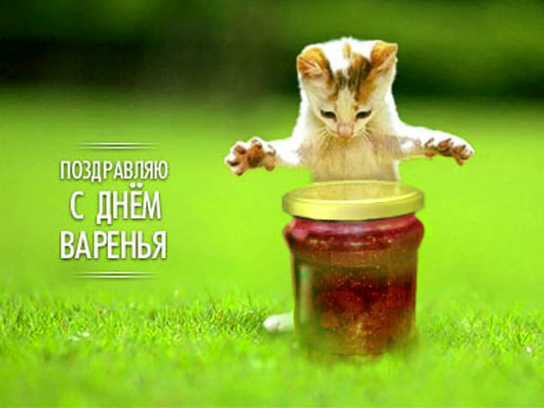 День варенья. Поздравление на праздник