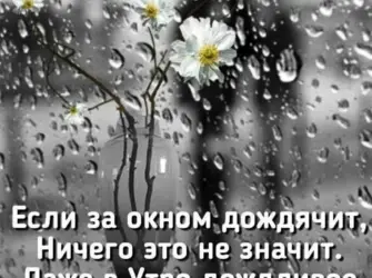 Доброе дождливое утро. Открытка с пожеланием