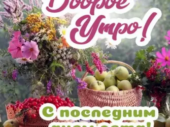 Доброе летнее утро последний день лета. Открытка с поздравлением