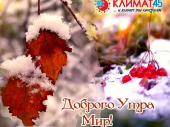 Доброе снежге утро осени. Открытка с пожеланием