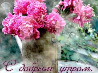 Доброе УТ РО сестрёнка. Открытка с пожеланием