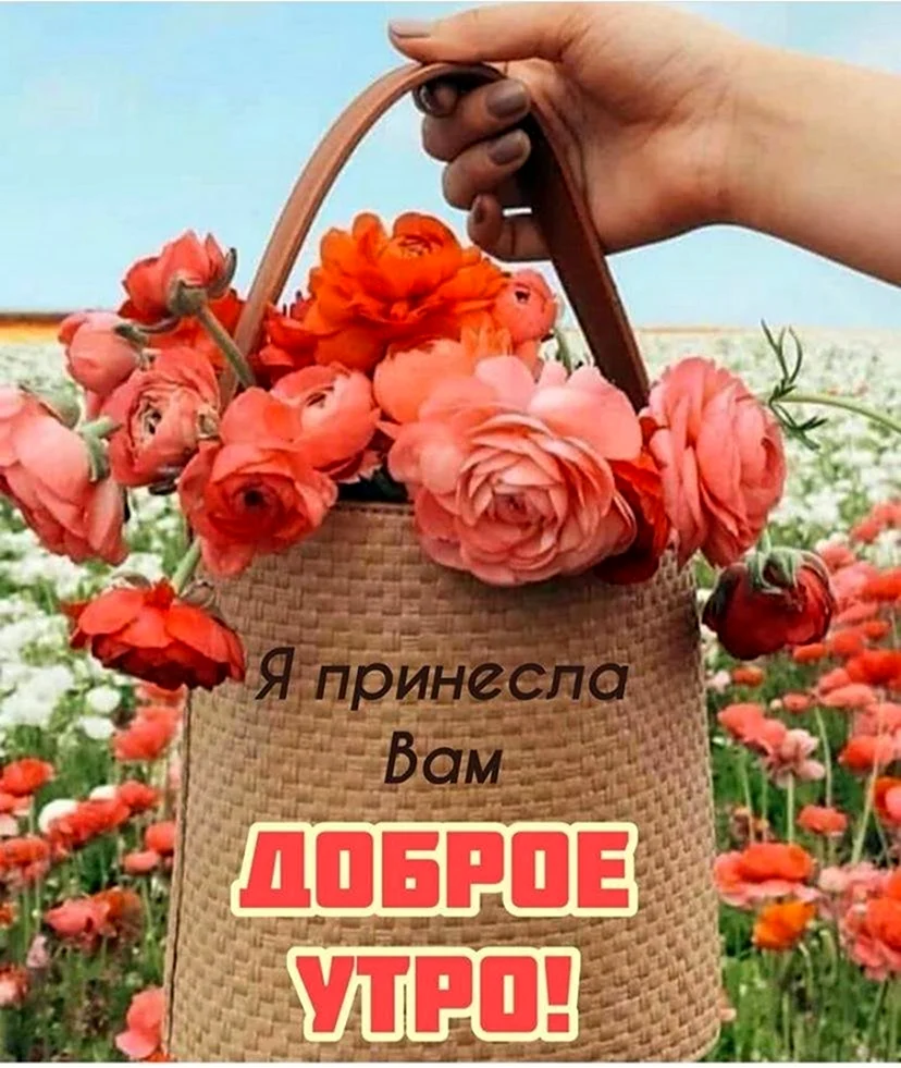 Доброе утро берегите СН бя. Открытка с поздравлением