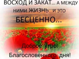 Доброе утро благословенного дня. Открытка с пожеланием