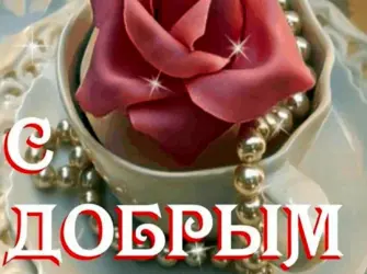 Доброе утро девушке открытка