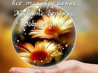 Доброе утро и счастья в жизни. Открытка с пожеланием