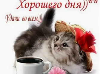Доброе утро хорошего настроения. Открытка с пожеланием