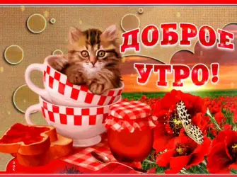 Доброе утро котенок открытка