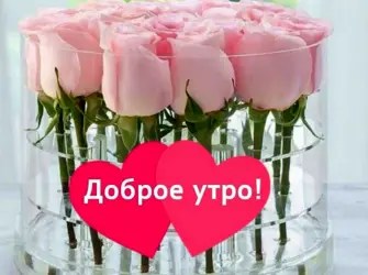 Доброе утро красота. Открытка с пожеланием