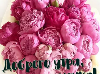 Доброе утро мамочка. Открытка с пожеланием
