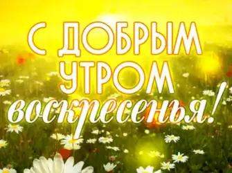 Доброе утро последнее воскресенье лето. Открытка с пожеланием