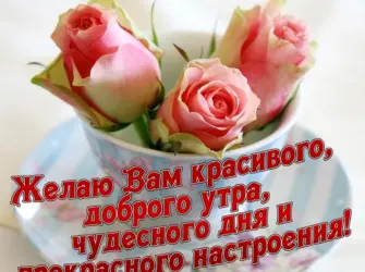Доброе утро прекрасного настроения. Поздравление на праздник