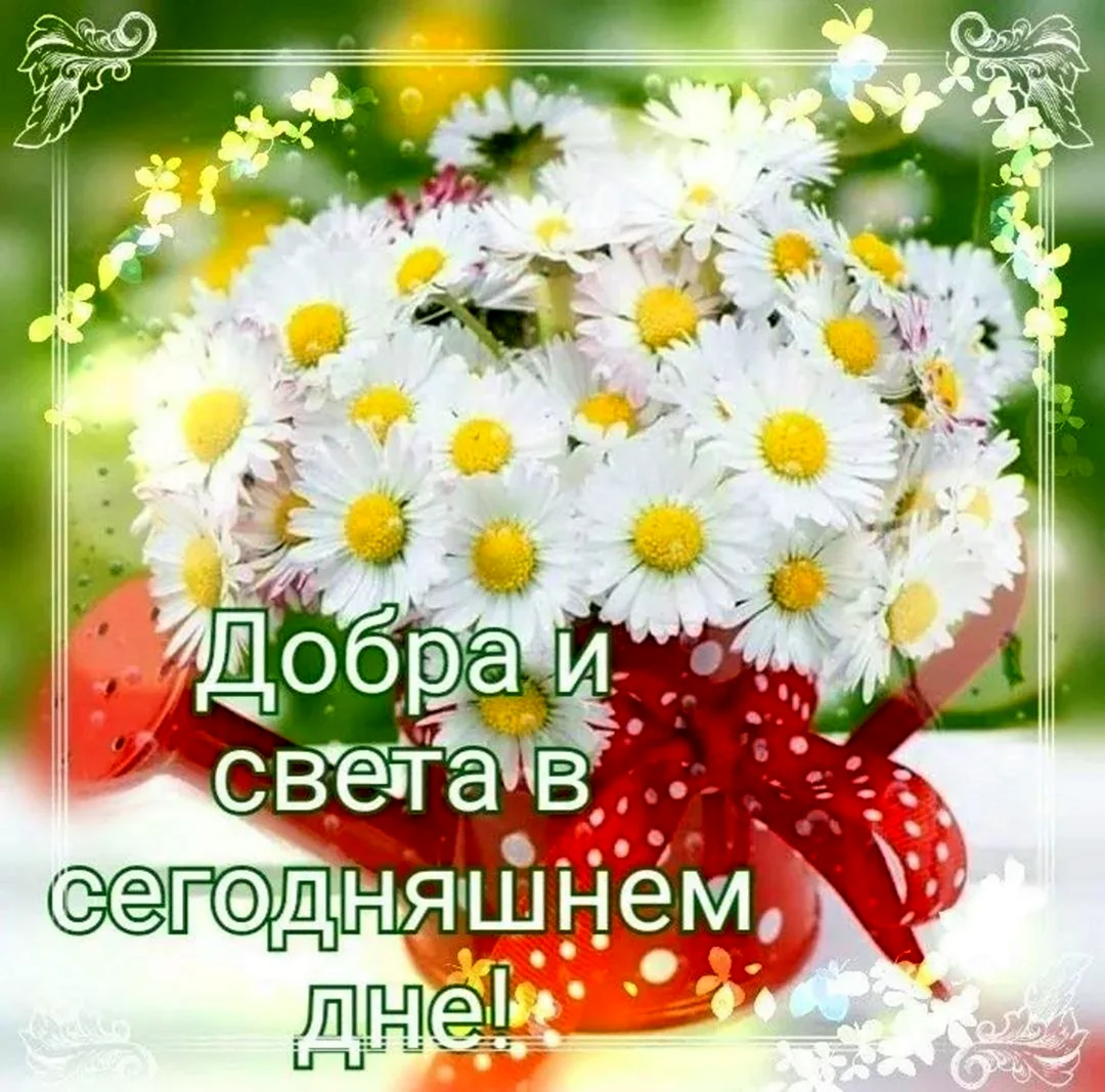 Доброе утро радуйся жизни. Открытка с поздравлением