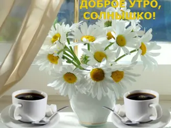 Доброе утро солнце. Открытка с пожеланием